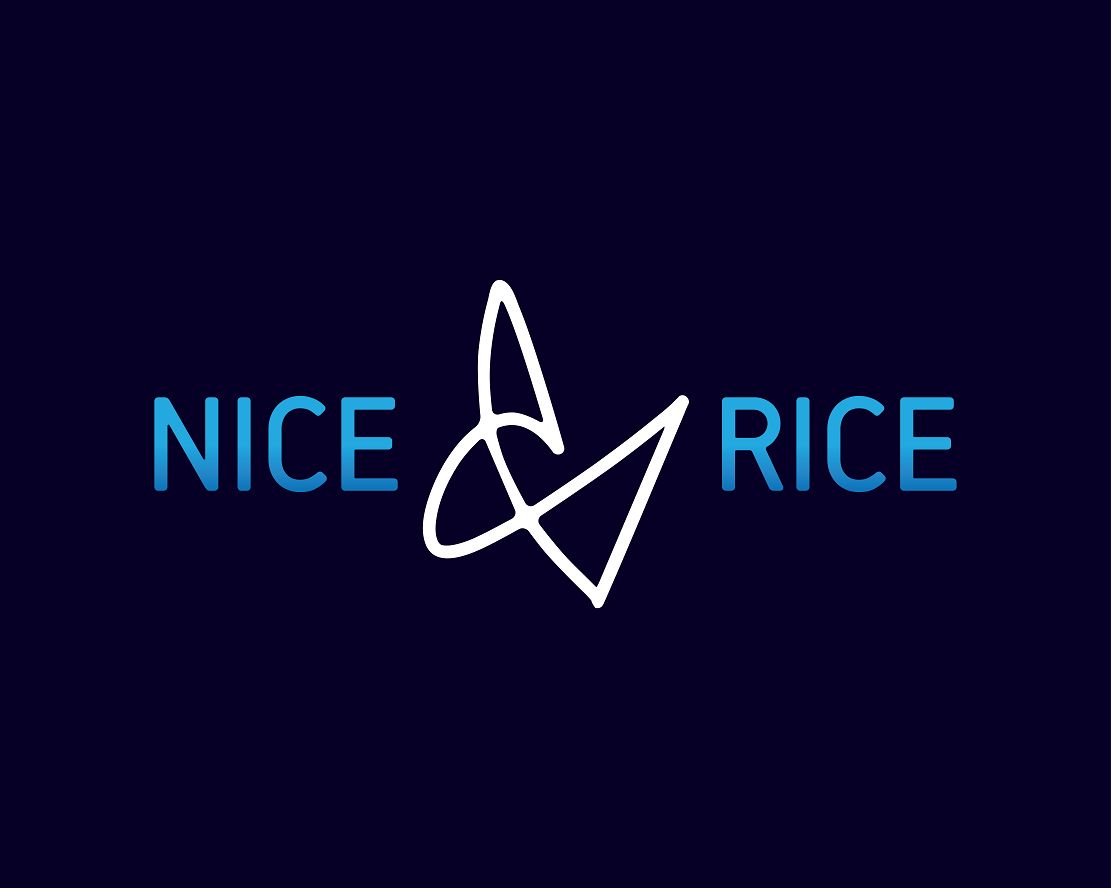 Logo Design entry 1511787 submitted by DORIANA999 to the Logo Design for Nice Rice run by Nice rice