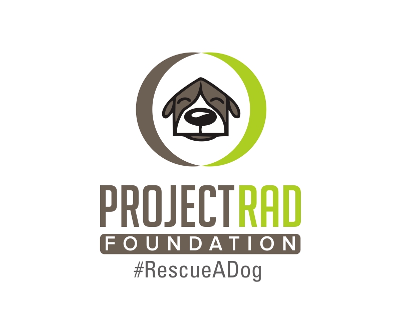 Logo Design Entry 1543299 submitted by Maxman to the contest for Project RAD Foundation run by kmuch