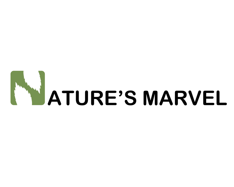 Logo Design entry 1638210 submitted by MuhammadR to the Logo Design for Nature’s Marvel run by Cpginfo.moore1@gmail.com