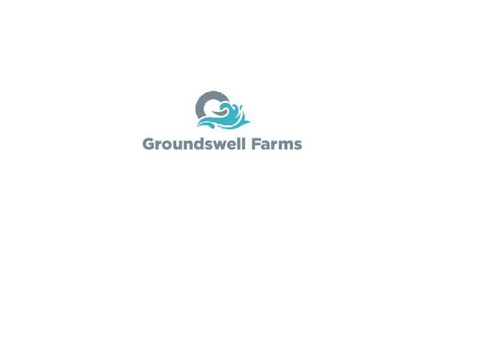 Logo Design Entry 1651015 submitted by Animman to the contest for Groundswell Farms run by GroundswellFarms