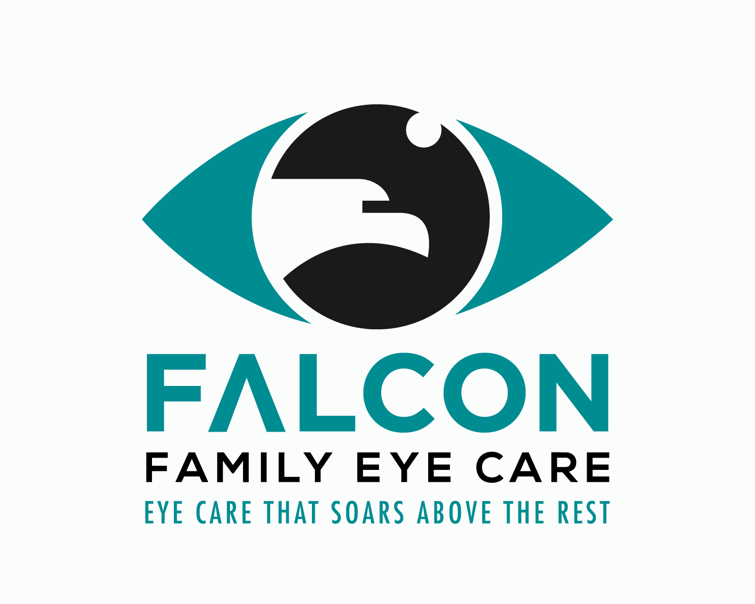 Logo Design entry 1666347 submitted by designr to the Logo Design for Falcon Family Eye Care  run by amandawallsod