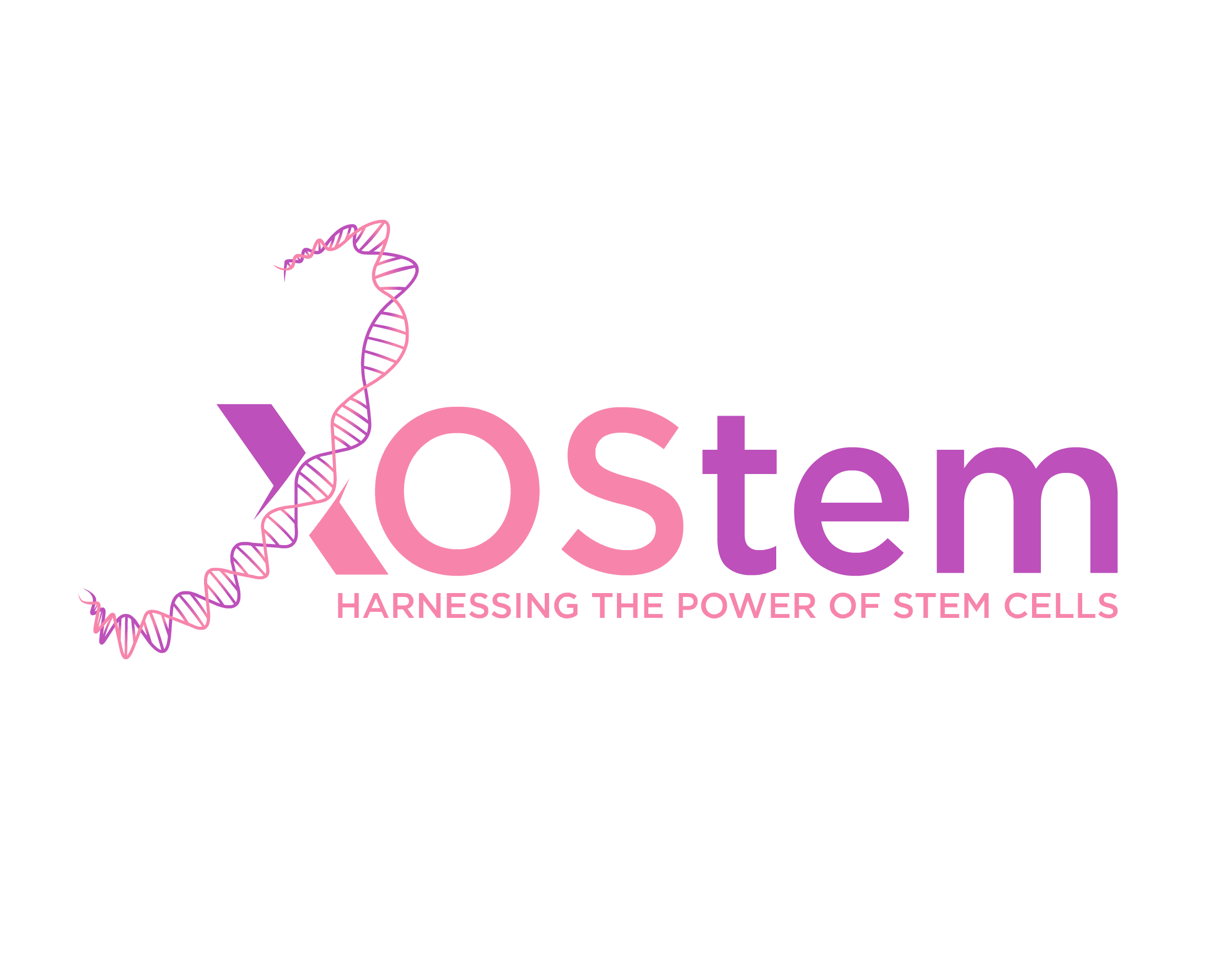 Logo Design Entry 1698281 submitted by ulasalus to the contest for XOStem run by pcoppola24