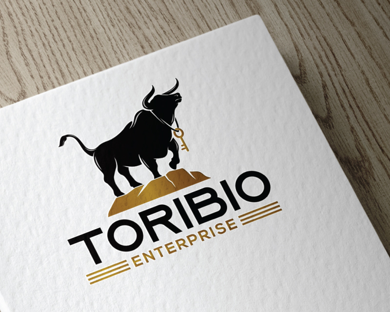Logo Design entry 1819561 submitted by Amit1991