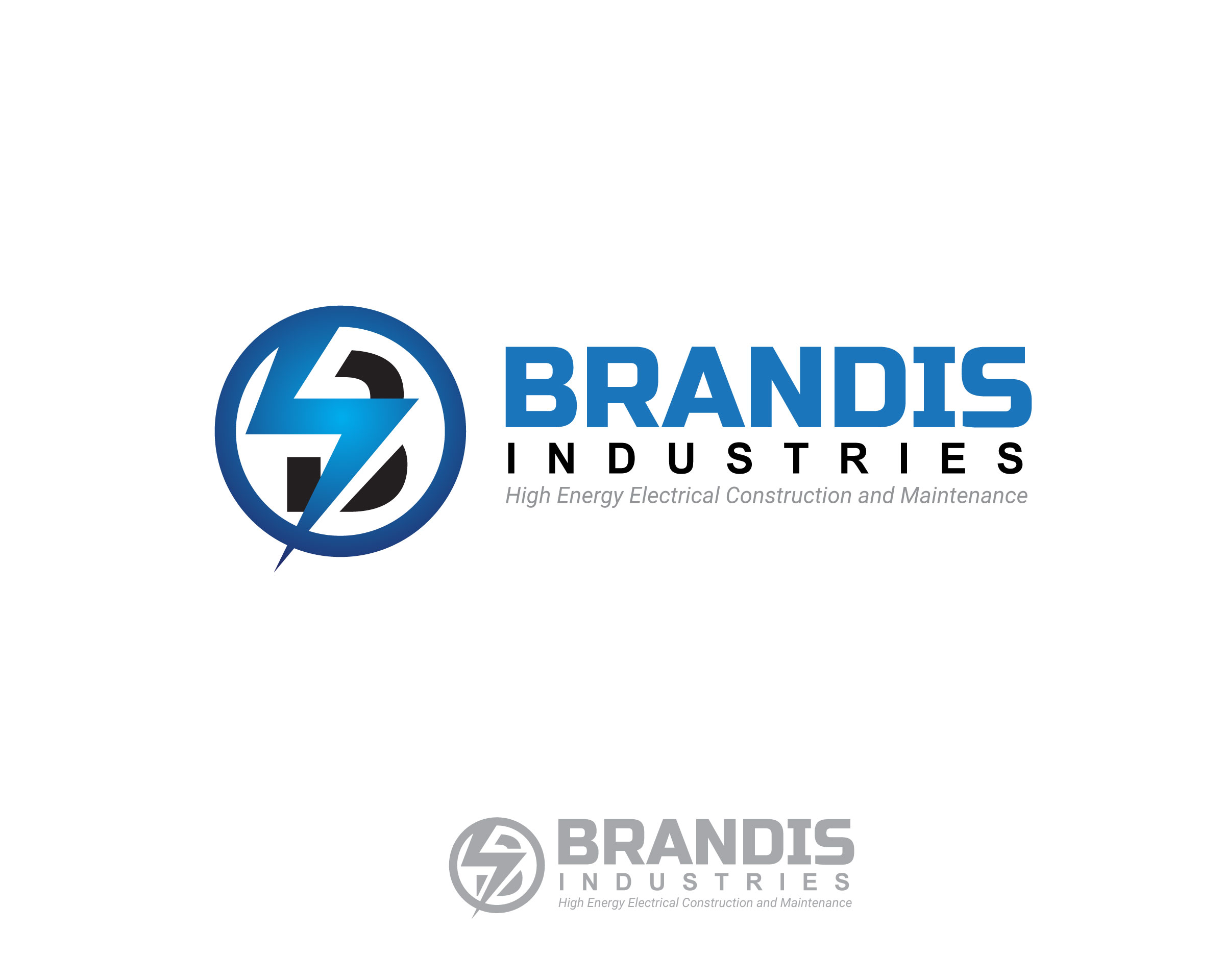 Logo Design Entry 1784369 submitted by madskill to the contest for Brandis Industries run by cbrandis
