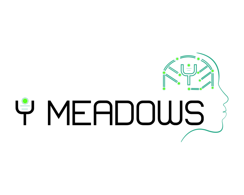 Logo Design Entry 1872440 submitted by vmagic118 to the contest for Y Meadows run by jedsward