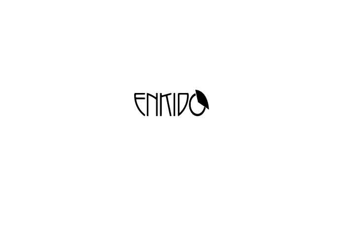 Logo Design Entry 1891231 submitted by Animman to the contest for Enkidoo run by honiball