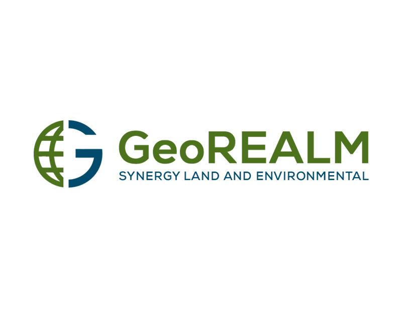 Logo Design entry 1907662 submitted by badluck to the Logo Design for GeoREALM run by scottrogerson
