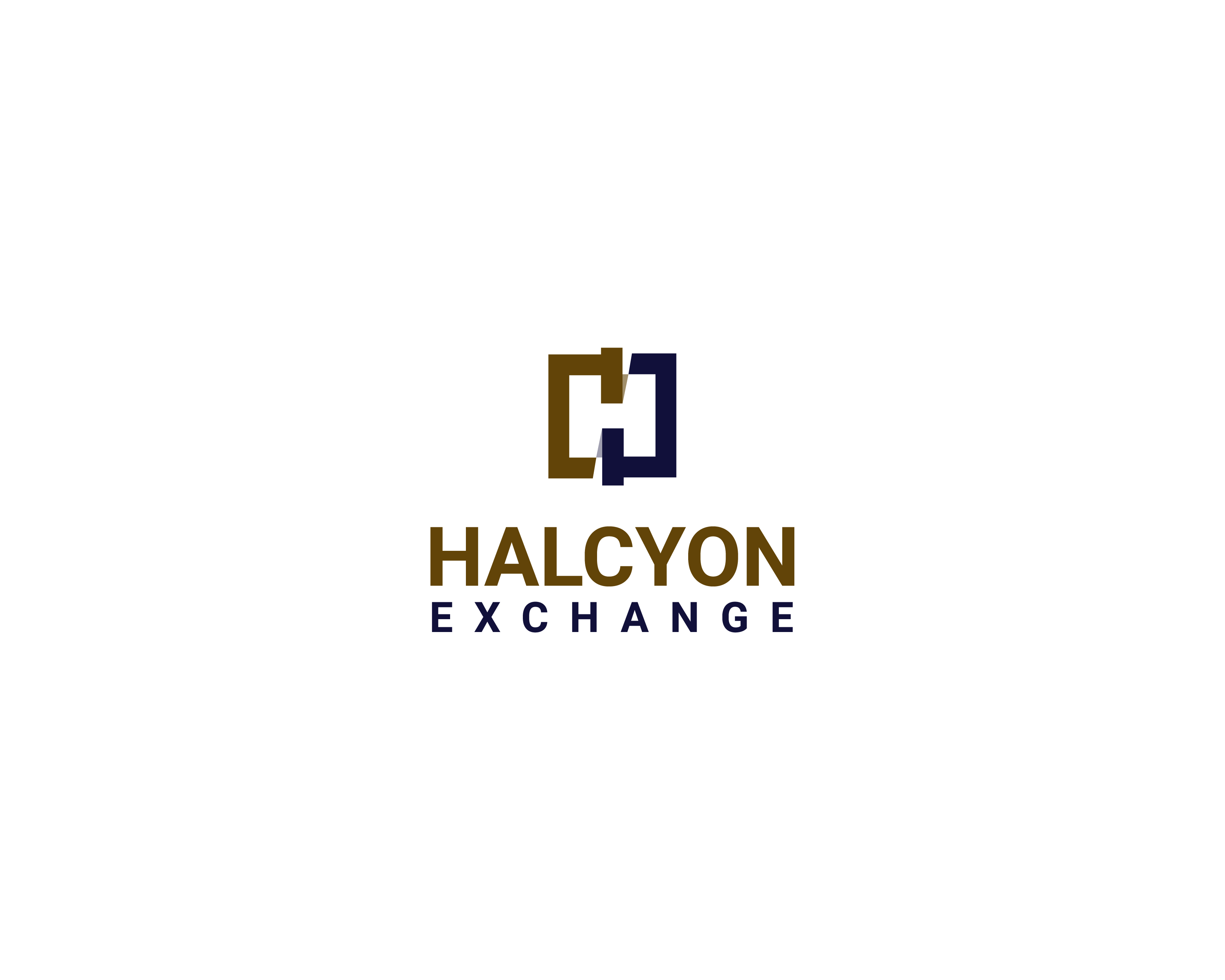 Logo Design Entry 1948584 submitted by rSo to the contest for Halcyon Exchange or Halcyon Ex run by halcyonex