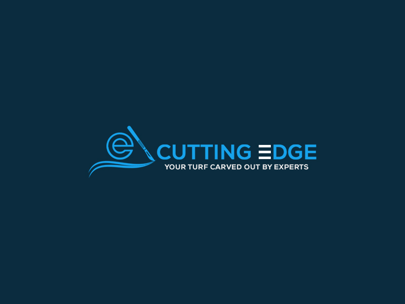 Logo Design entry 2272881 submitted by Naziur rahman