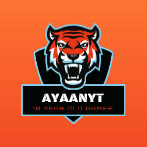 ayaanmeer Profile Picture