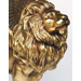 Gold lion Profile Picture