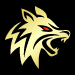 Golden Wolf Profile Picture